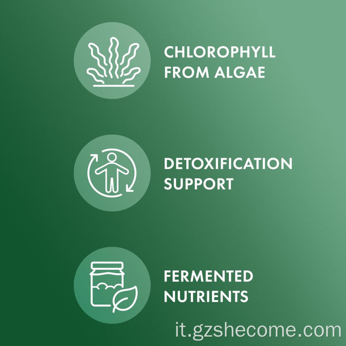 Nuovo arrivo ﻿Integratore di clorella fermentata Shecome